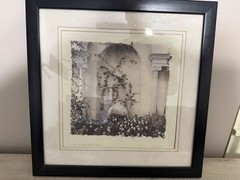 Alan Blaustein Signed – “Orto Botanico, Siena, Italia”