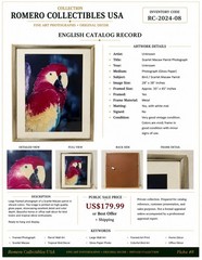 Large Framed Scarlet Macaw Parrot Photograph Wall Art 28×38 Tropical Bird Decor