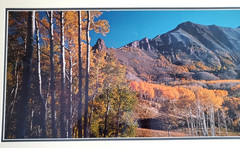 Thomas Mangelsen Rocky Mountain Indian Summer Lim Ed Framed Print Photograph