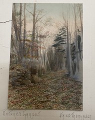 Fred Thompson Hand Colored Tinted Photograph NATURE’S CARPET Birch Trees Signed