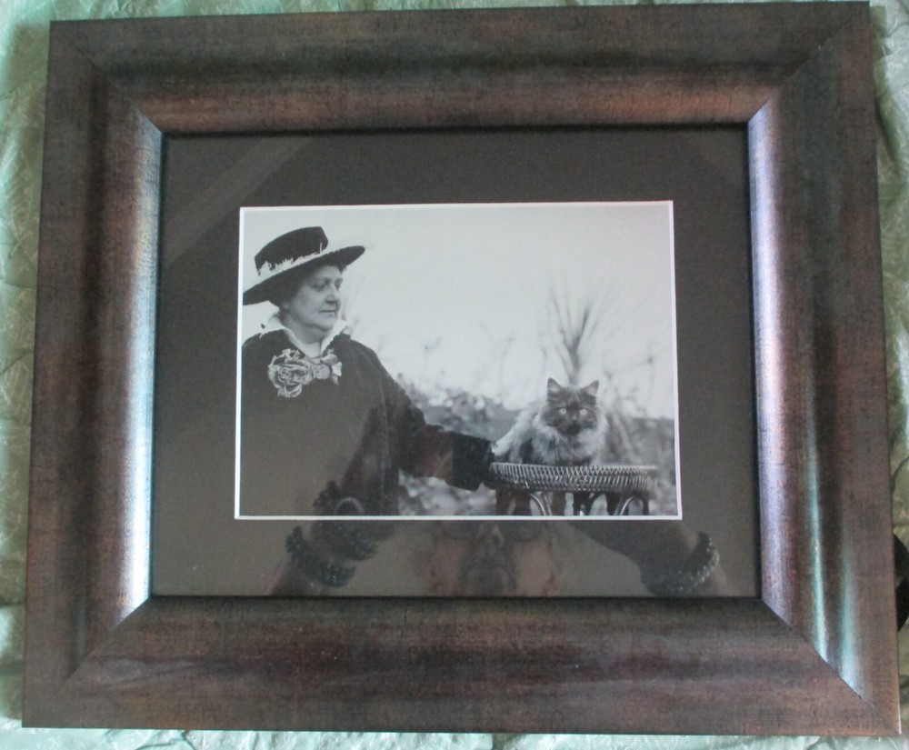 FRAMED BLACK & WHITE PHOTOGRAPH PHOTO PICTURE * WOMAN & KITTY CAT * 12 X 14 IN.