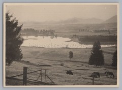 Steingaden 1949 – Lake near the Wieskirche – Old Photo 1940s