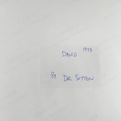 Vintage (Reprint) 8X10 Photograph David By Michelangelo 1973 Italy Color