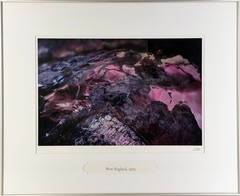 Ernst Haas «New England» Photograph