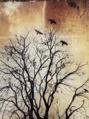 Javier Lopez Rotella Tree with Birds Framed Mixed Media 5X7 Photography