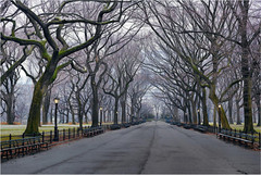 Peter Lik «Sunday 5:47AM» Limited Edition 122/950 Panoramic Fine Art Photograph