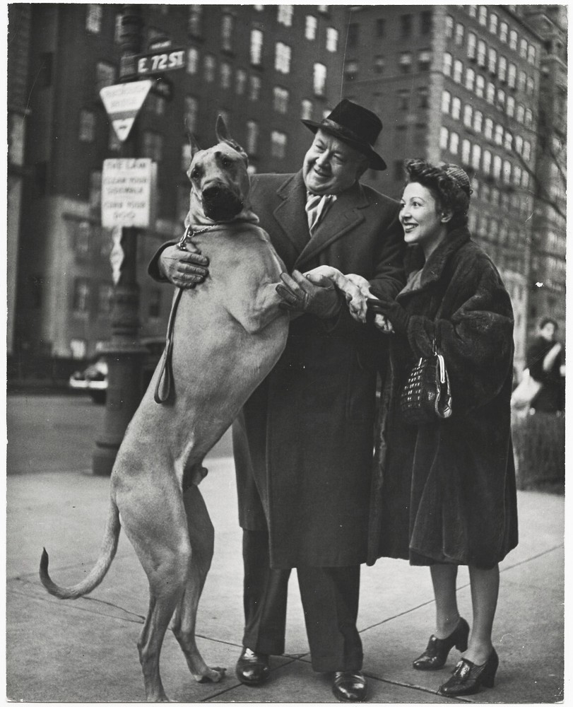 Nina LEEN: City Dogs, NYC, 1944 / PUBLISHED IN LIFE magazine/ (9) VINTAGE PRINTS