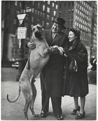 Nina LEEN: City Dogs, NYC, 1944 / PUBLISHED IN LIFE magazine/ (9) VINTAGE PRINTS