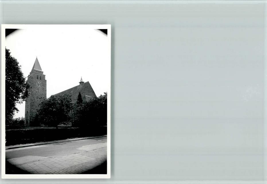 40126243 – 4441 Schapen Photo 6x8cm
