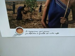 Photo wood framed Steve McCurry Lavazza coffee Calendar 2015 Earth defenders 36″