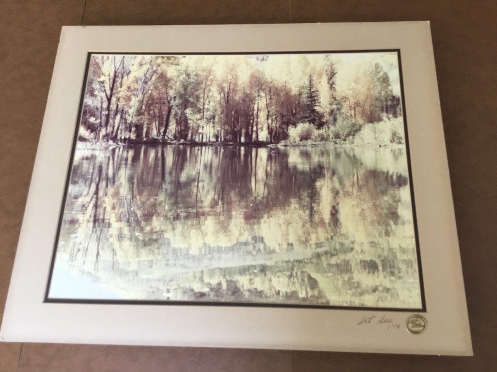 Vintage Art Gore Photograph – Original Print – Artist Signed