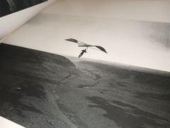 1977 Photography Pre-Press Archive 23 Double-Sided Pages 46 Image Sides Proofs