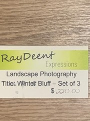 RayDeent “Winter Bluff” Keuka Lake Triptych – Set of 3 Landscape Photos