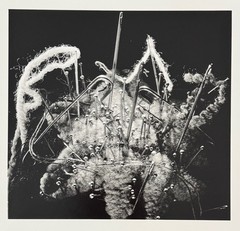 Fritz Brill, pincushion, photograph from the estate, 1949/2004