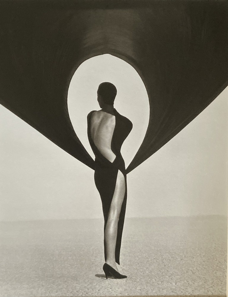 2000 Herb Ritts VERSACE dress back EL MIRAGE 1990 Art Photo 8×10/11×14 inches