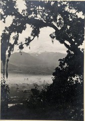 Hugo Brehme Photo Popocatépetl Mexican Black & White Fine Art Hand Signed Antiqu