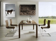 Rustic Barn ~ 30×20 Ready to Hang CANVAS WRAP ~ Still Life ~ LARGE WALL ART