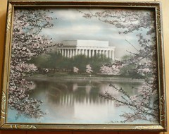 JAPANESE CHERRY TREES BUCKINGHAM WASHINGTON DC HAND COLORED PHOTOGRAPH LANDSCAPE