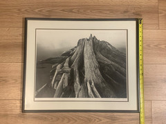 Black & White Driftwood Photograph Signed Justin 1992 Framed 24×20