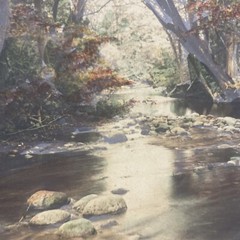 AQ Fred Thompson “Woodland Symphony” Original Hand Tinted Photograph Signed 7×9”