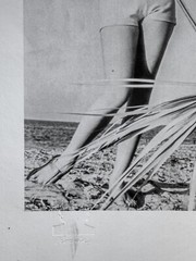 Elegant Beach Portrait – Iconic 1964 Fashion Photography by Korda
