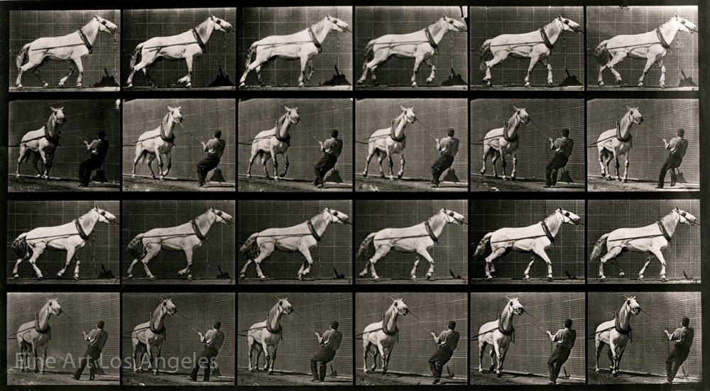 Eadweard Muybridge Photo, Vintage Motion Study, Horse pulling load, 1880s