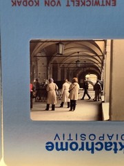 Lot Of 23 1983 Vienna Austria Spanish Riding School Amateur 35mm Color Slides