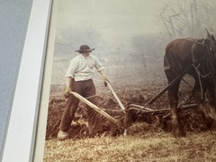 Bill Coleman Amish No. 11 Photograph 1/750 Farmer Draft Horse Team Plowing Field