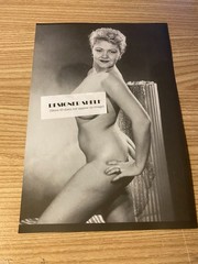 Dixie Evans Pinup Burlesque Lingerie Go-Go 2 Scene Book Photograph
