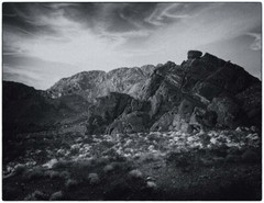 LANDSCAPE 8.5×11 or 13X19 B&W BORDERLESS GLOSSY PRINT (FREE SHIPPING)