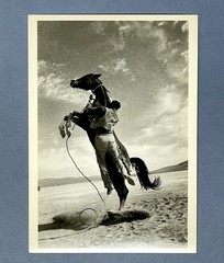 On The Set Of The Misfits 1960 Photo By Ernst Haas Fotofolio Art Print Card 4×6”