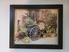 Set of 3 Country Floral Photographs Black Wooden Frames