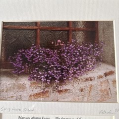 Celtic Images Spring Flowers, Ireland A Mother’s Blessing R Henderson