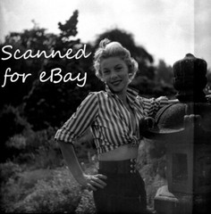 BUSTY PAMELA ALLEN CHEESECAKE GLAMOROUS DANCER OPEN SHIRT – 5 NEGATIVES 1950s