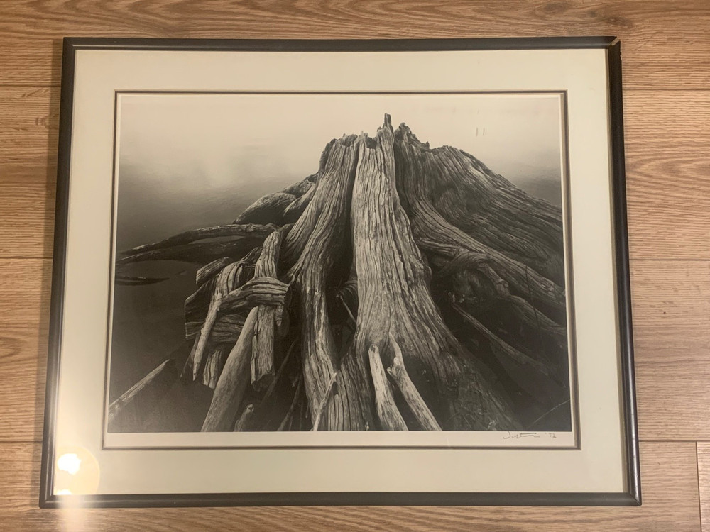 Black & White Driftwood Photograph Signed Justin 1992 Framed 24×20