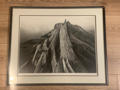 Black & White Driftwood Photograph Signed Justin 1992 Framed 24×20