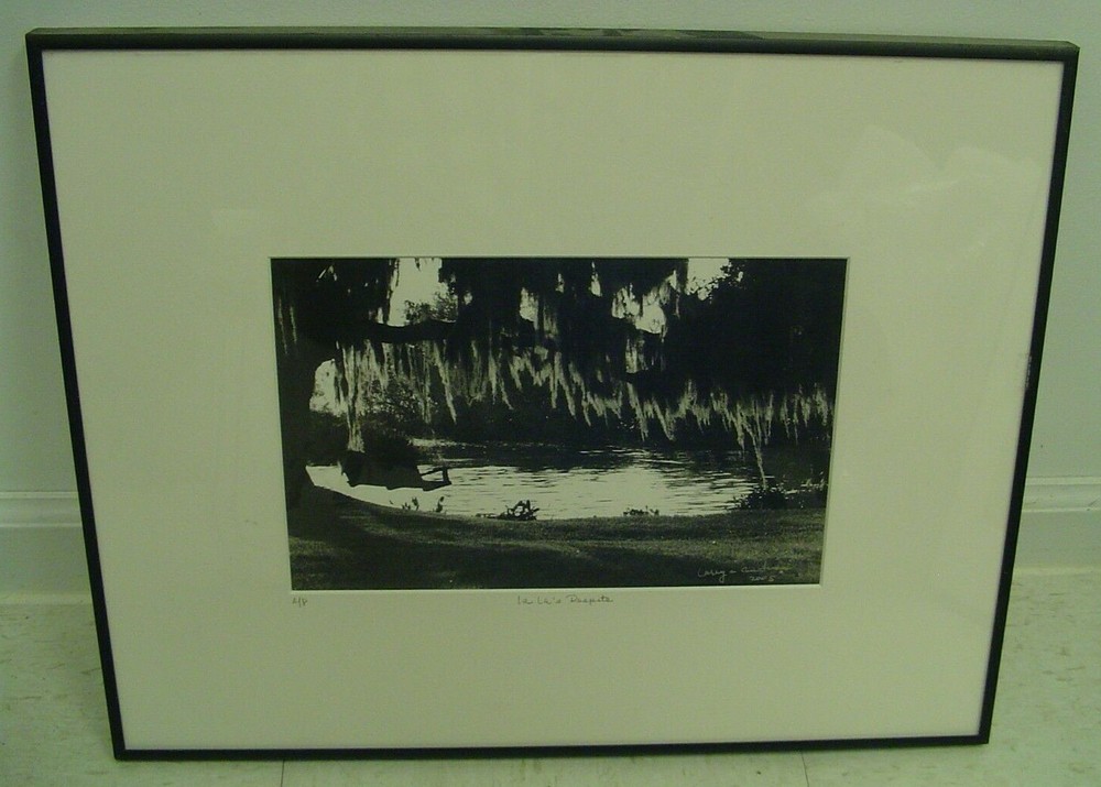 ART PHOTOGRAPHY Lake Scenery with swing set B&W by L. Santucci Frames 20x16in