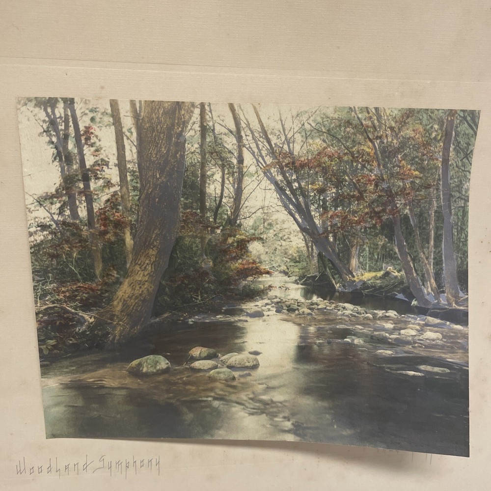 AQ Fred Thompson “Woodland Symphony” Original Hand Tinted Photograph Signed 7×9”