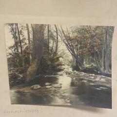 AQ Fred Thompson “Woodland Symphony” Original Hand Tinted Photograph Signed 7×9”