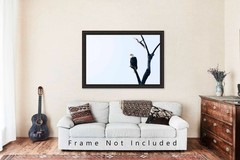 Bald Eagle Photography Print: Oklahoma, National Bird, Wildlife, Picture, Photo