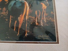 3 Wendy Shattil/Bob Rozinski Signed Gathering Of Horses Cowboy Matted Photos