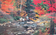 Framed Fall Color Trees, Rocks, and River Photograph Print 10.5″x12.5″