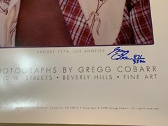 Gregg Cobarr, “Remembering Michael Jackson,” Signed Poster w/COA