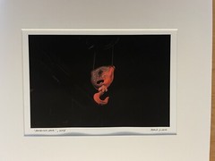 Monmouth University Mark Ludak, MFA Signed Photo Red Hook 2004