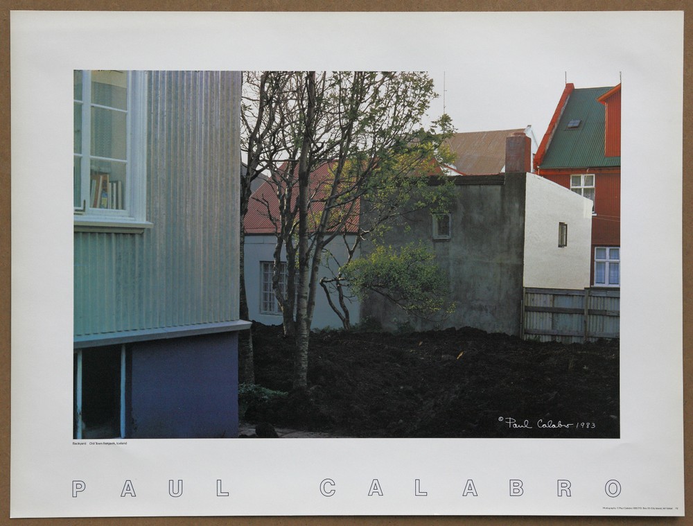 Iceland Reykjavik Books House Tree by Paul Calabro Signed Photo Lithograph 1983