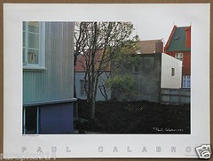 Iceland Reykjavik Books House Tree by Paul Calabro Signed Photo Lithograph 1983