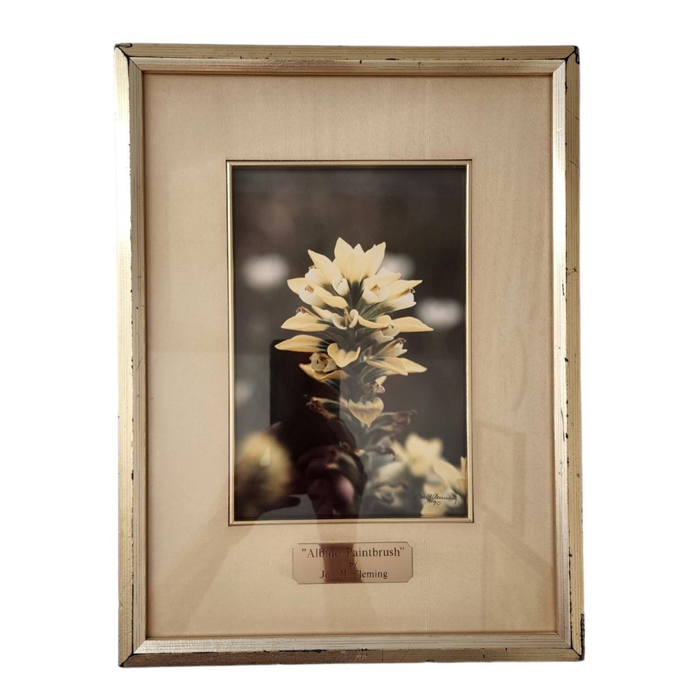 Floral Photograph Wall Art Framed Original Signed Engraved Plaque
