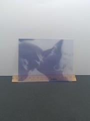 5##Photo negative film – Kissing women – Lesbian couple – Love – Kiss
