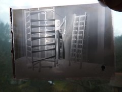 Glass Plates Negative Circa 1930 1933 Marburg Young Woman Teddy Doll Still Life