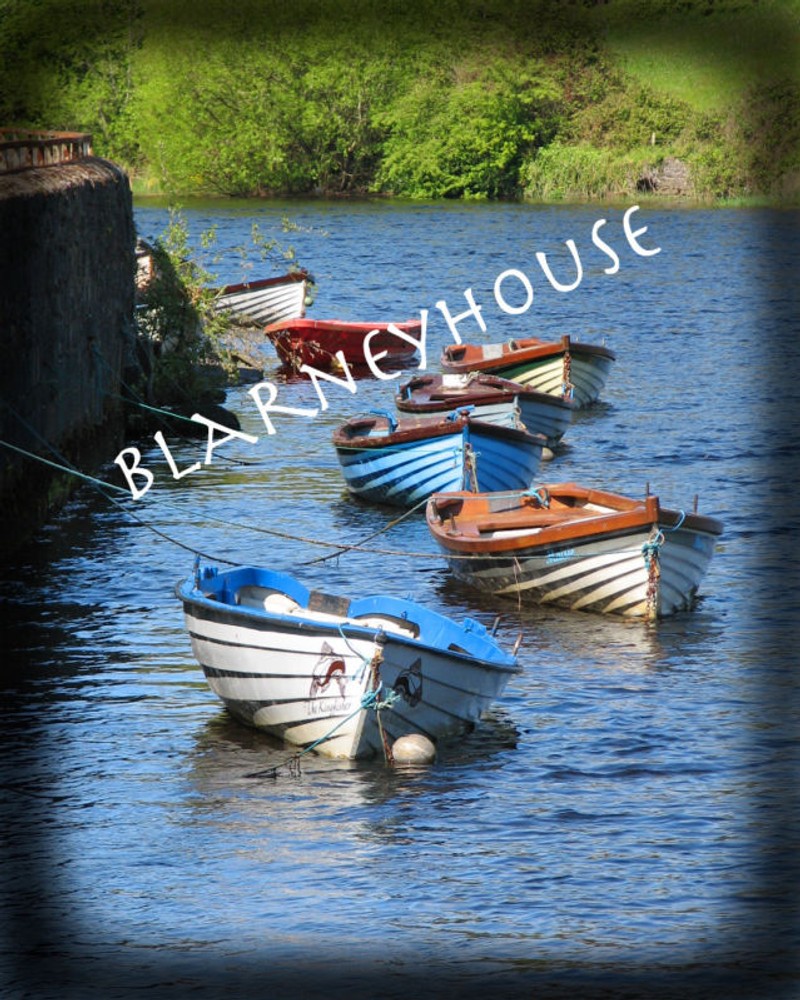 COLORFUL IRISH BOATS! 8 x 10 Photo IRELAND!
